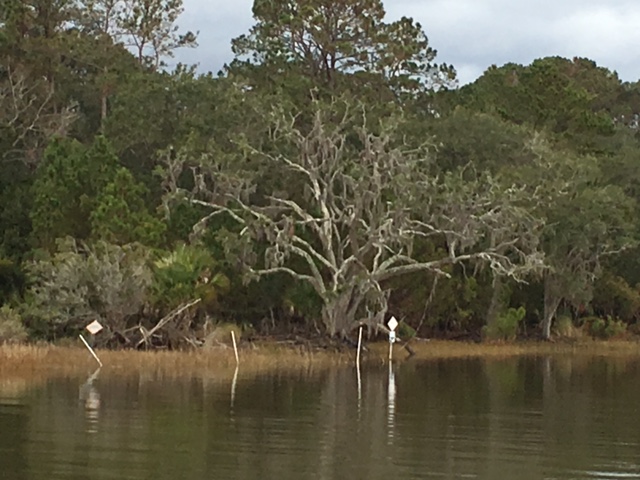 South Carolina Low Country on the ICW